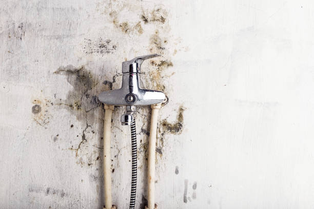Best Industrial Mold Remediation in Campbellsport, WI