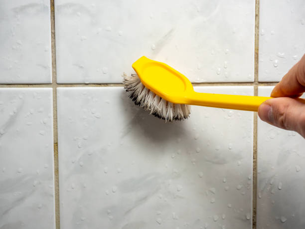 Best Mold Remediation for Specific Building Types in Campbellsport, WI