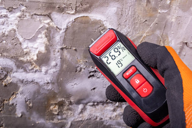 Best Residential Mold Remediation in Campbellsport, WI