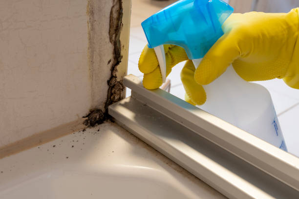Best Post-Remediation Services in Campbellsport, WI